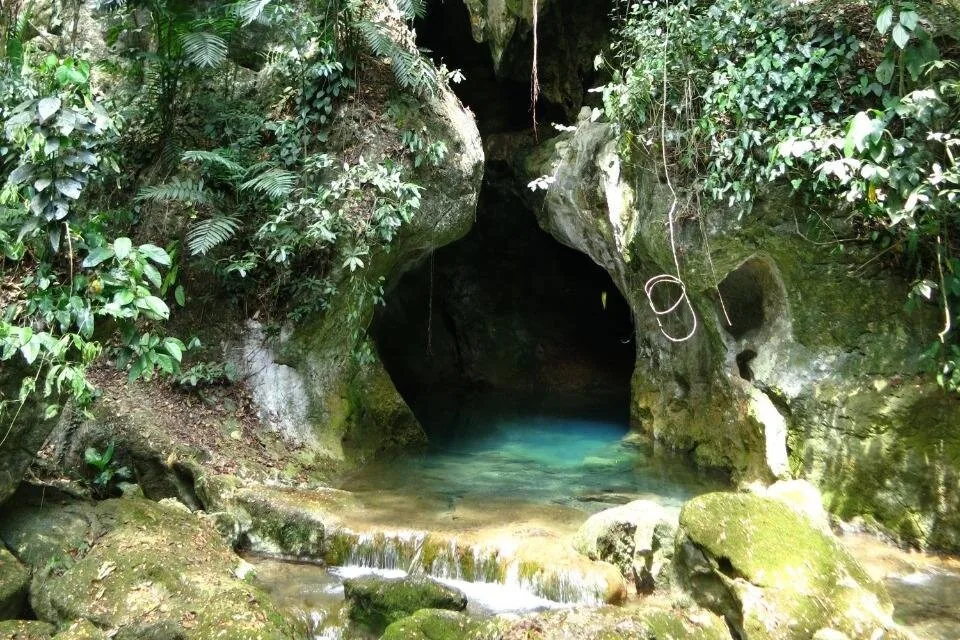 A cave opening framed by jungle plants above a clear turquoise pool